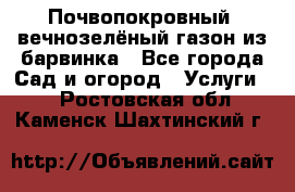 Почвопокровный, вечнозелёный газон из барвинка - Все города Сад и огород » Услуги   . Ростовская обл.,Каменск-Шахтинский г.